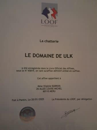 Le Domaine de Ulk