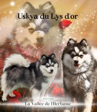 POMSKY VALLEE DE L HERBASSE