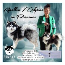 POMSKY VALLEE DE L HERBASSE