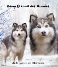 POMSKY VALLEE DE L HERBASSE