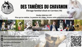 DES TANIERES DU CHAVANON