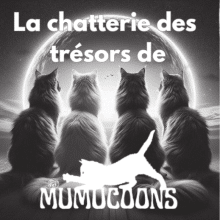 LES TRESORS DE MUMUCOONS