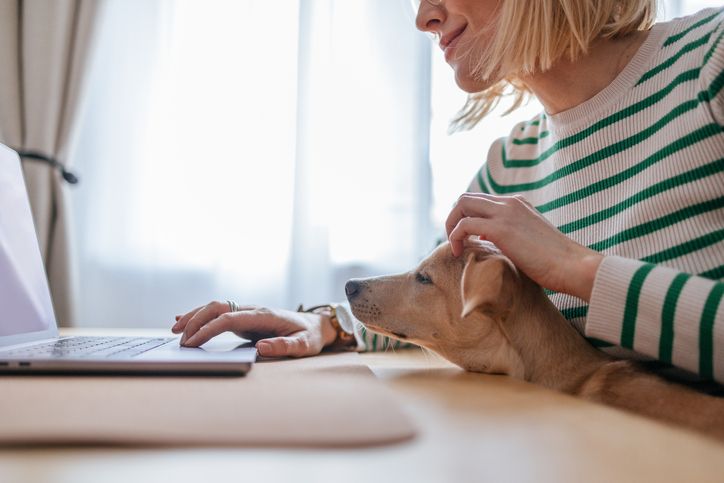 Une femme sur son ordinateur avec son chien sur les genoux