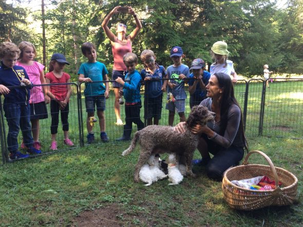 Image de la portée de chiot de l'élévage ODDON MYRIAM