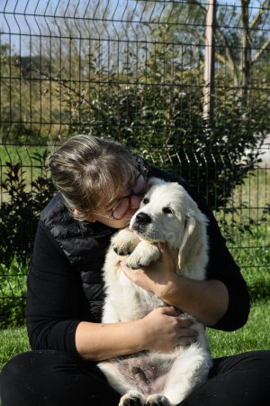 Image de la portée de chiot de l'élévage DES TREFLES A QUATRE PATTES