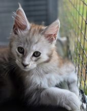 CHATTERIE DU PAYS D&rsquo;HECATE
