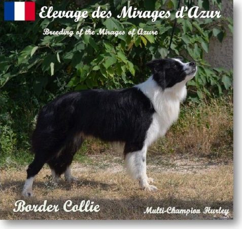 DES MIRAGES D’AZUR - Image 1