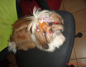 CANTAGREL JOSETTE