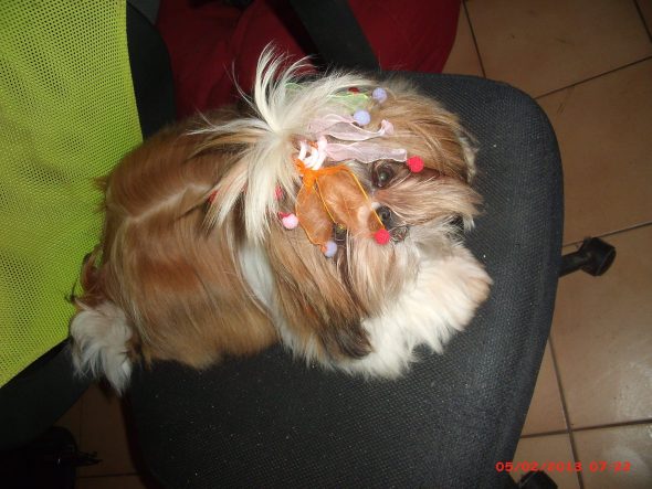 CANTAGREL JOSETTE - Image 2