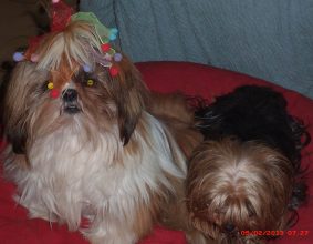 CANTAGREL JOSETTE