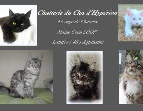 LELOUP ISABELLE