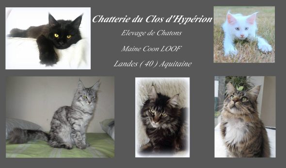 LELOUP ISABELLE - Image 2