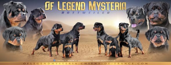 Of legend mysteria - Image 1