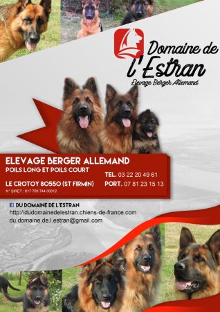 DU DOMAINE DE L ESTRAN - Image 1