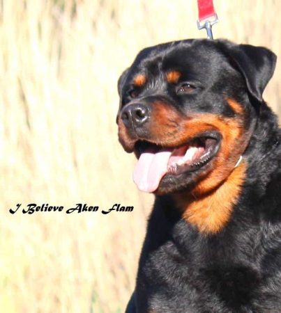 I BELIEVE AKEN FLAM - Image 2