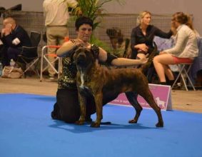 DERCOURT ELODIE