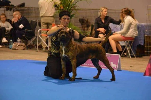 DERCOURT ELODIE - Image 5