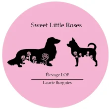 SWEET LITTLE ROSES