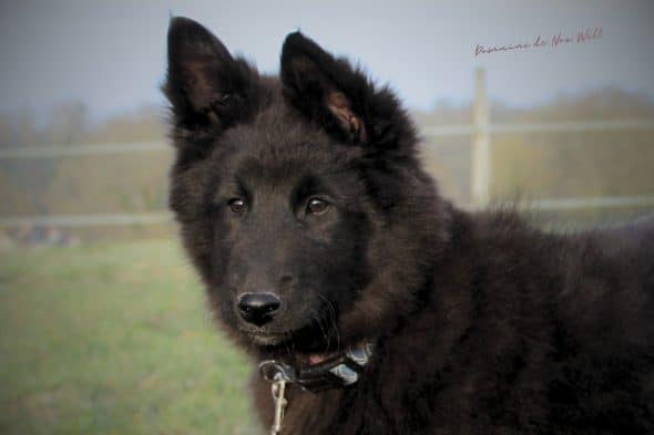 DOMAINE NOX WELL - Image 10
