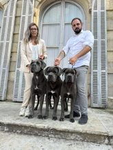 Des Diamants Du Colisée jcm
