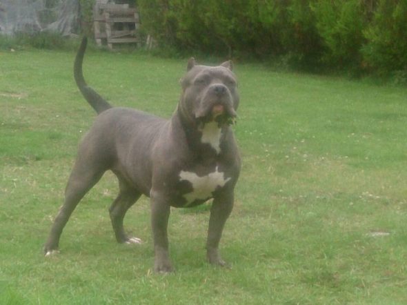 MILLE CELINE - Image 5