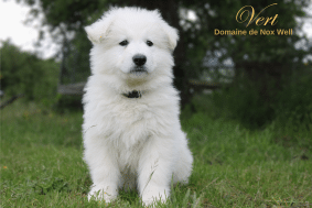DOMAINE NOX WELL