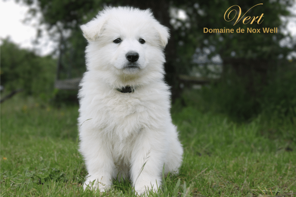 DOMAINE NOX WELL - Image 40