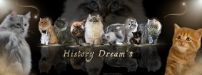 HISTORY DREAM&rsquo;S