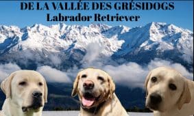 De La vallée des Grésidogs