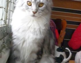 BOUGEY MARINE