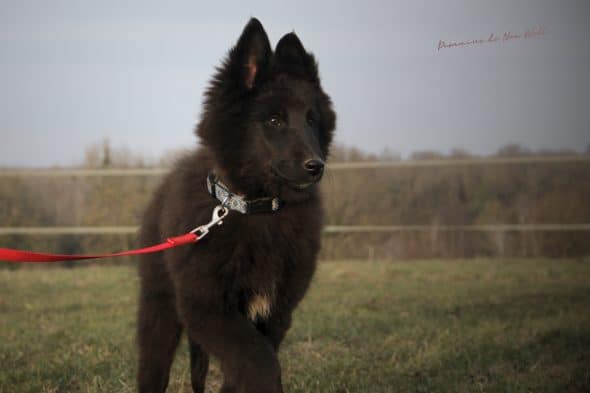 DOMAINE NOX WELL - Image 49