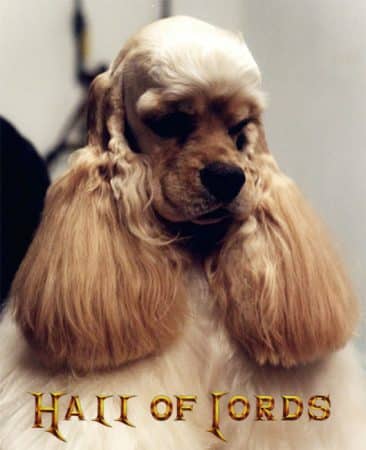 HALL OF LORDS - Image 21