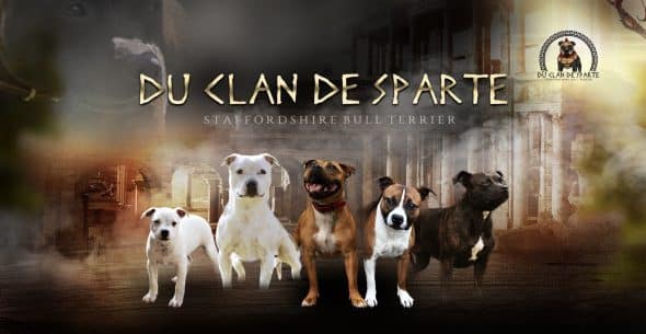 DU CLAN DE SPARTE - Image 1