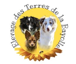 ELEVAGE DES TERRES DE LA BAYOLLE