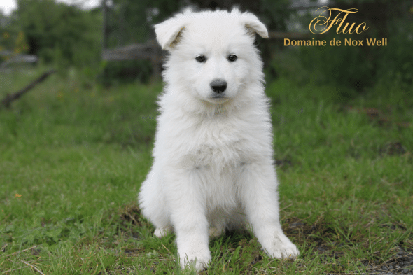 DOMAINE NOX WELL - Image 22