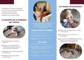 CHATTERIE DE L ILE BOISSEAU