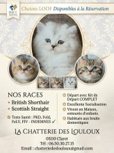 CHATTERIE DES LOULOUX