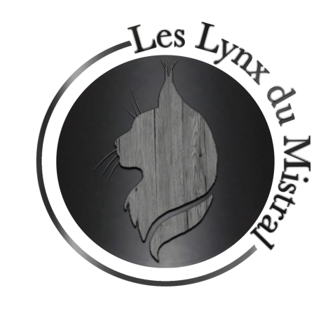 DES LYNX DU MISTRAL - Image 1