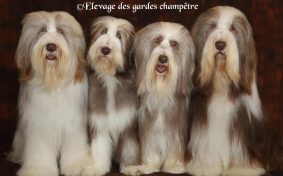 des gardes champetre