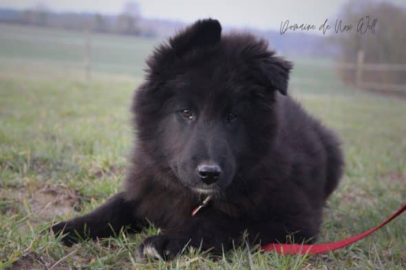 DOMAINE NOX WELL - Image 46