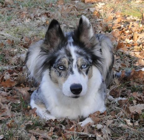 BEGUE CAMILLE - Image 2