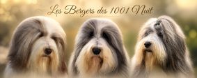 GAEC LES BERGERS DES 1001 NUITS