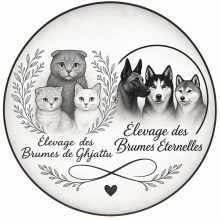 Les Brumes Eternelles
