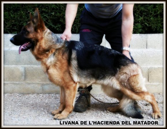 DE L&rsquo;HACIENDA DEL MATADOR - Image 9
