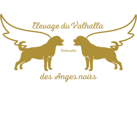 DUVALHALLA DES ANGES NOIRS - Image 1