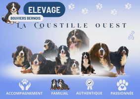 DE LA COUSTILLE OUEST
