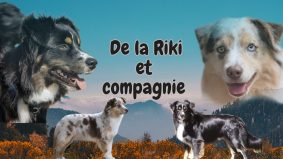 DE LA RIKI ET COMPAGNIE
