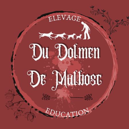 Du Dolmen de Malbosc - Image 1
