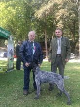 DES PLAINES DU CAMBRAISIS