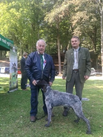 DES PLAINES DU CAMBRAISIS - Image 4
